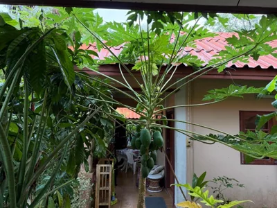 Mandala bungalow at Ya Nui beach – 写真 15